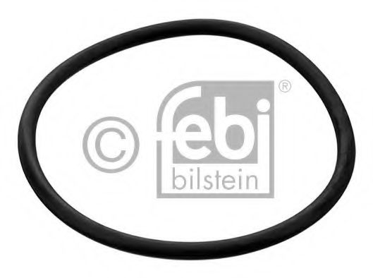 Imagine Garnitura termostat FEBI BILSTEIN 17964