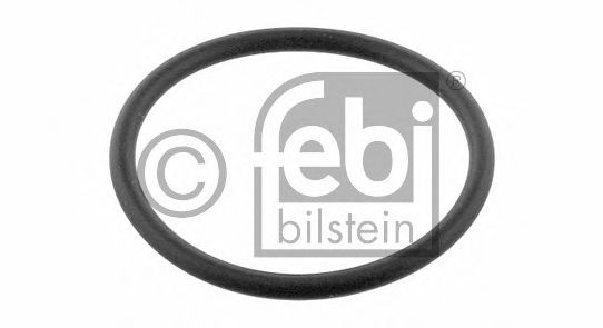 Imagine Garnitura termostat FEBI BILSTEIN 17966