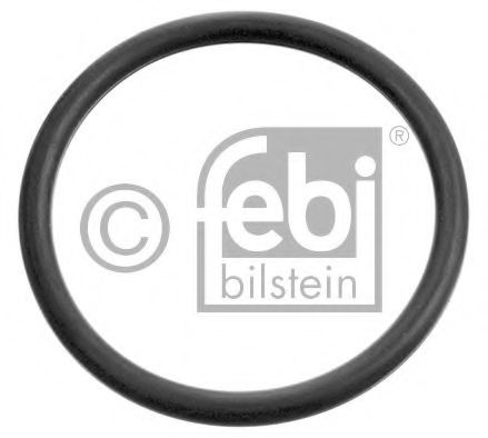 Imagine Garnitura termostat FEBI BILSTEIN 17970