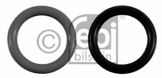 Imagine Garnitura, filtru combustibil FEBI BILSTEIN 21587