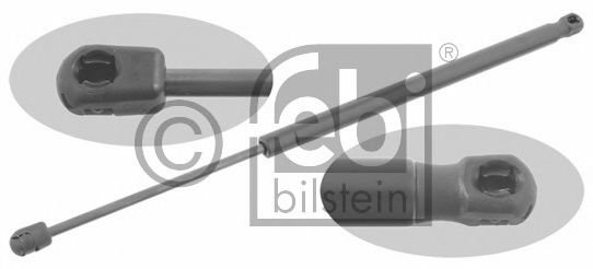 Imagine Amortizor portbagaj FEBI BILSTEIN 27919