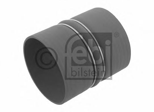 Imagine Furtun ear supraalimentare FEBI BILSTEIN 29152