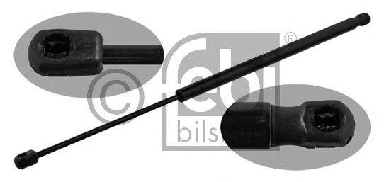 Imagine Amortizor portbagaj FEBI BILSTEIN 34428