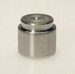 Imagine Piston, etrier frana TRISCAN 8170 233305