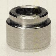 Imagine Piston, etrier frana TRISCAN 8170 234004