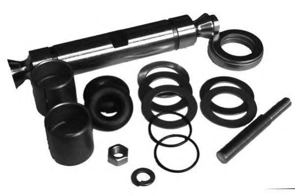 Imagine Set reparatie, pivot MOOG RO-BJ-2006