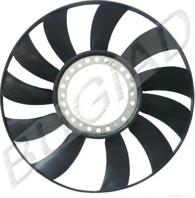 Imagine Paleta ventilator, racire motor BUGIAD BSP20443