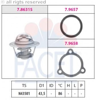 Imagine termostat,lichid racire FACET 7.8631