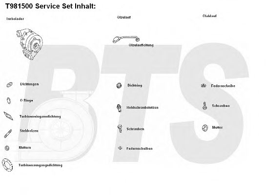 Imagine Compresor,sistem de supraalimentare BTS Turbo T981500