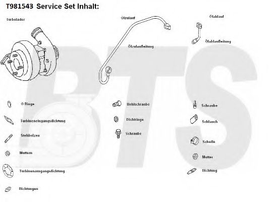 Imagine Compresor,sistem de supraalimentare BTS Turbo T981543