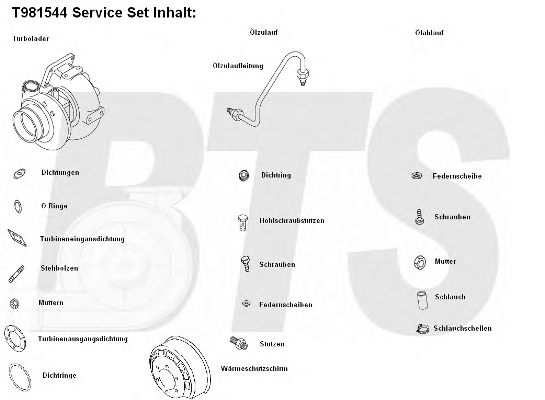 Imagine Compresor,sistem de supraalimentare BTS Turbo T981544BL