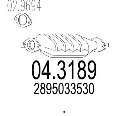 Catalizator MTS 04.3189