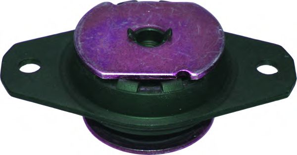 Suport motor BIRTH 51146