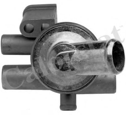 Imagine termostat,lichid racire CALORSTAT by Vernet TH5953.86