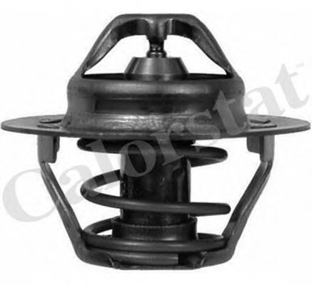Imagine termostat,lichid racire CALORSTAT by Vernet TH6045.83J
