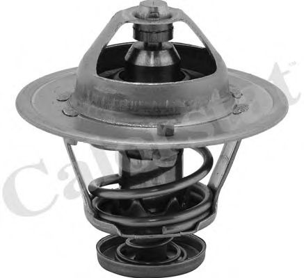 Imagine termostat,lichid racire CALORSTAT by Vernet TH6252.89J