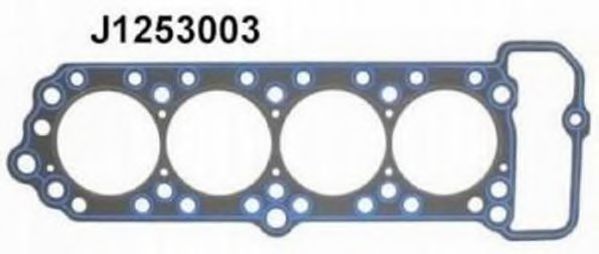 Imagine Garnitura, chiulasa NIPPARTS J1253003