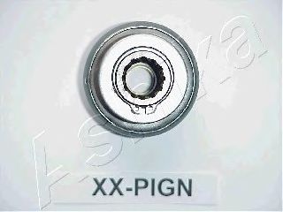 Imagine Pinion electromotor ASHIKA CP-PIGN