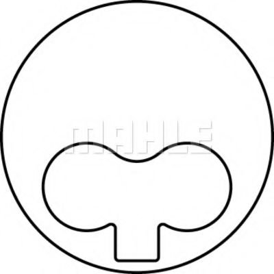 Imagine Piston MAHLE ORIGINAL 013 PI 00101 002