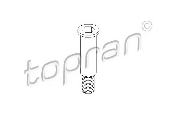 Imagine pivot lagar,rola de tensionare TOPRAN 400 004