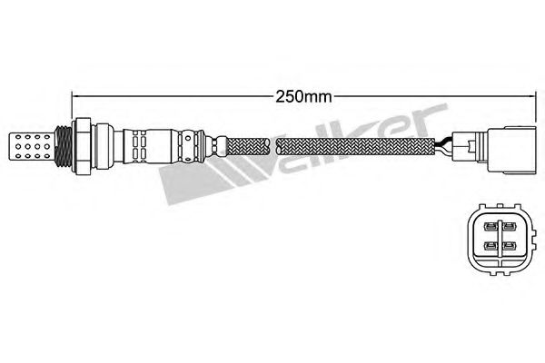 Imagine Sonda Lambda WALKER PRODUCTS 250-24344