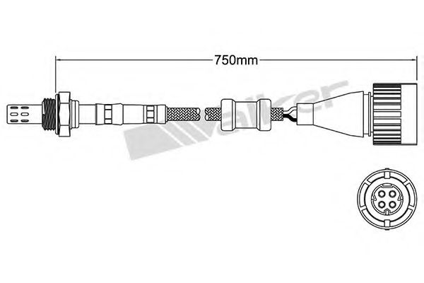 Imagine Sonda Lambda WALKER PRODUCTS 250-24613