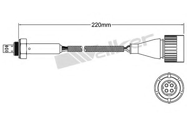 Imagine Sonda Lambda WALKER PRODUCTS 250-24809