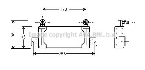 Imagine Radiator ulei, ulei motor PRASCO PE3047