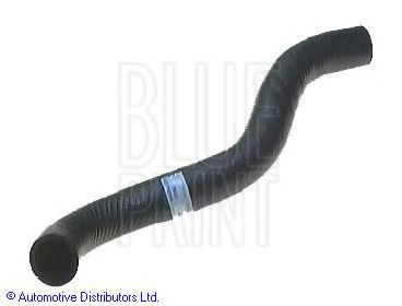 Imagine Furtun radiator BLUE PRINT ADC49402