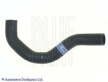 Furtun radiator BLUE PRINT ADN19430