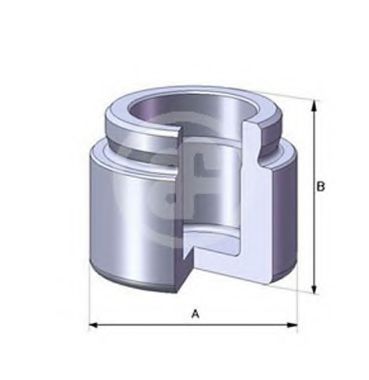 Imagine Piston, etrier frana AUTOFREN SEINSA D02524