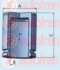 Imagine Piston, etrier frana AUTOFREN SEINSA D025297