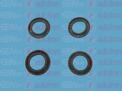 Set reparatie, pompa centrala frana AUTOFREN SEINSA D11150