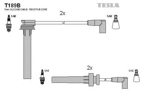Set cablaj aprinder TESLA T189B