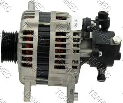 Imagine Generator / Alternator TEAMEC 212206